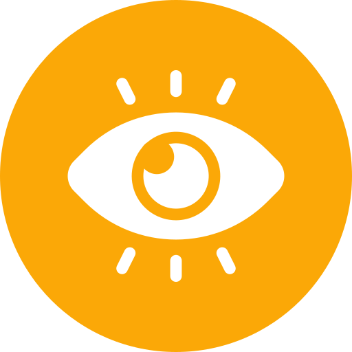 Vision_icon